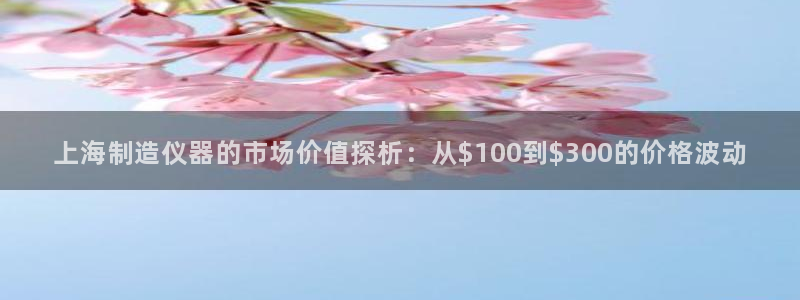 星欧娱乐官网：上海制造仪器的市场价值探析：从$100到$30