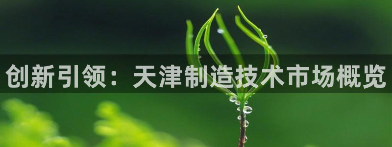 星欧娱乐官网免费下载：创新引领：天津制造技术市场概览