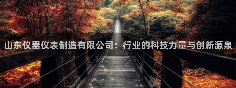 星欧娱乐注册要多少钱：山东仪器仪表制造有限公司：行业的科技力