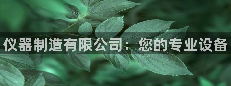 星欧娱乐app注册：仪器制造有限公司：您的专业设备