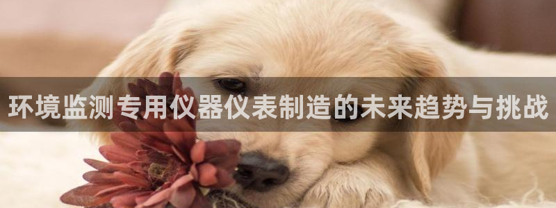 星欧娱乐改名后叫什么