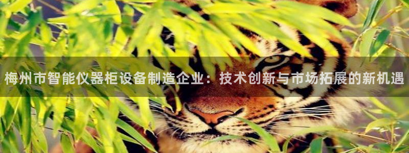 七星娱乐欧尼酱
