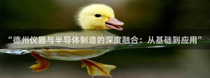 七星娱乐欧尼酱