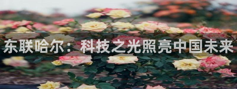 欧汇星娱乐