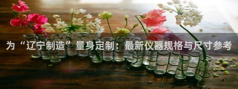 星欧娱乐注册客服电话：为“辽宁制造”量身定制：最新仪器规格与