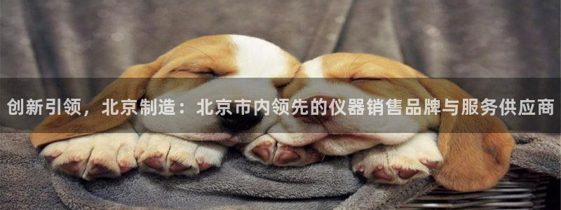 星欧娱乐登录网页版登录：创新引领，北京制造：北京市内领先的仪