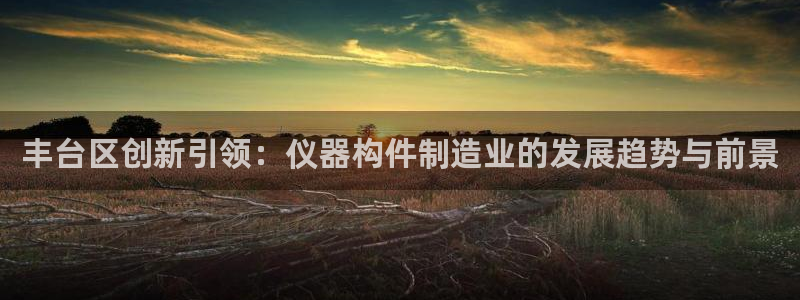 星欧娱乐是什么平台：丰台区创新引领：仪器构件制造业的发展趋势